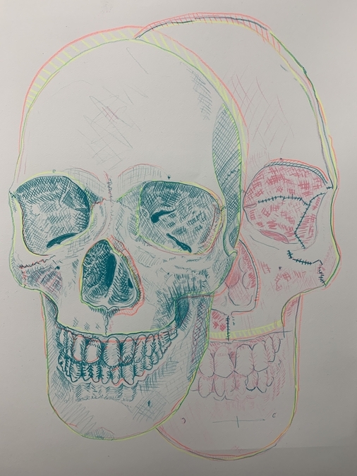 Untitled: Skull Drawing